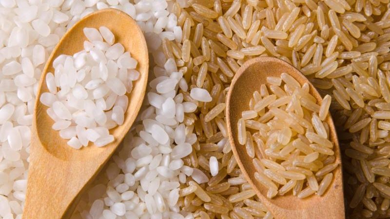 سعر طن الأرز الشعير
