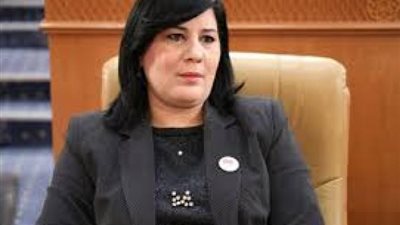 عبير موسى تتحدث عن مؤامرة إخوانية للإطاحة بالرئيس