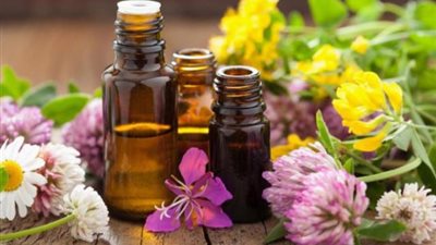 تعرفي على أبرز الزيوت الصحية والمفيدة للشعر