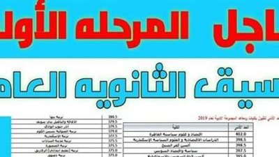 ظهرت الآن.. نتيجة تنسيق الثانوية العامة 2024 بالقاهرة والجيزة والمحافظات الأخرى