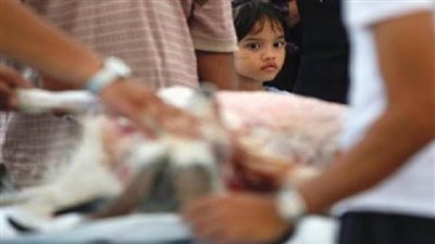 نصائح للتعامل مع الأطفال بعد رؤية عملية ذبح الأضاحي