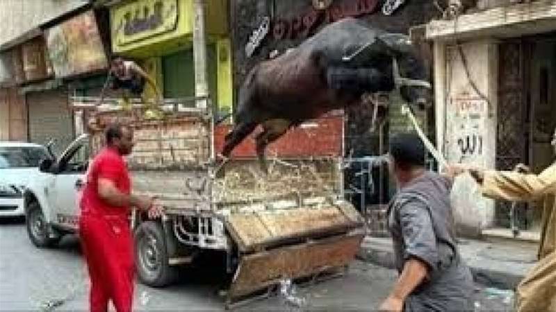 أبرزها منعها من الطعام