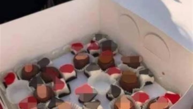 فضيحة الأعضاء التناسلية