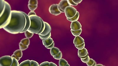 شديد الخطورة.. ما هو مرض المكورات السحائية وأعراضه وكيفية الوقاية منه؟