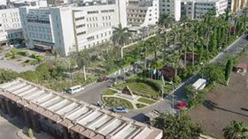 جامعة المنصورة
