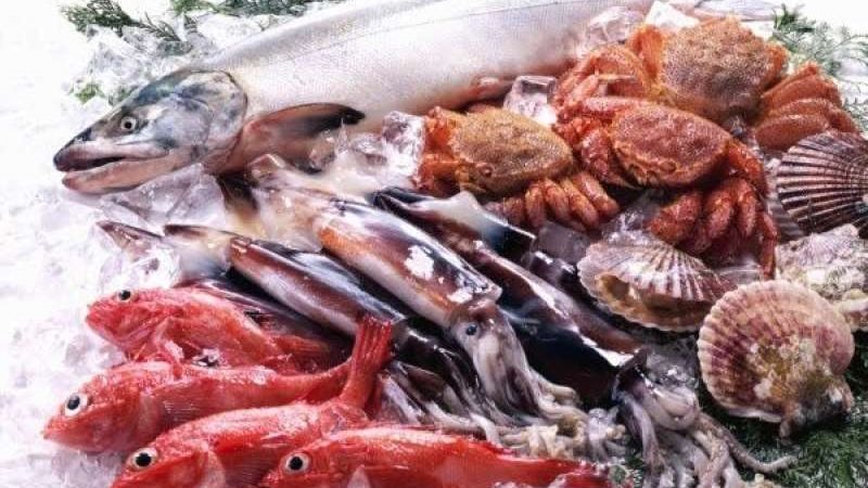 أسعار الأسماك اليوم