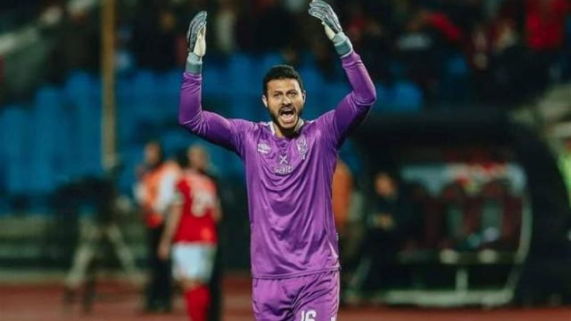 محمد الشناوي