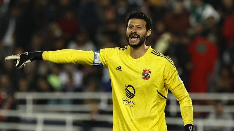 محمد الشناوي