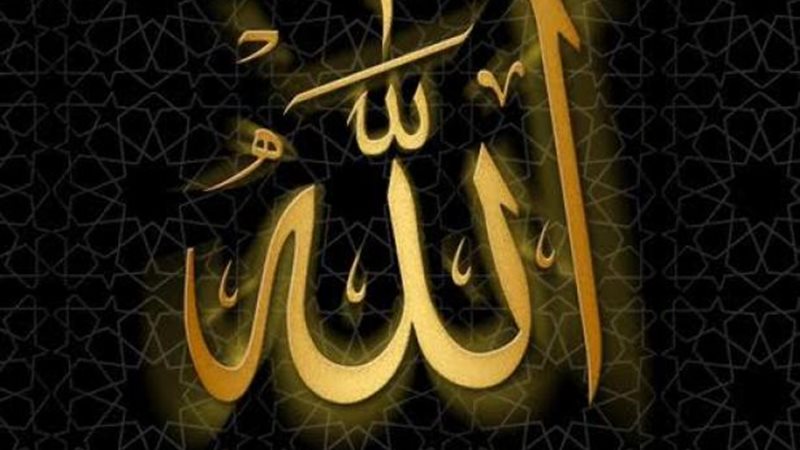 الموجز