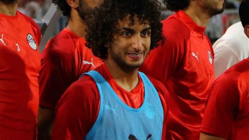 عمرو وردة