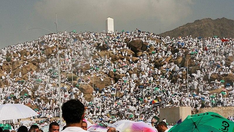 الحجاح