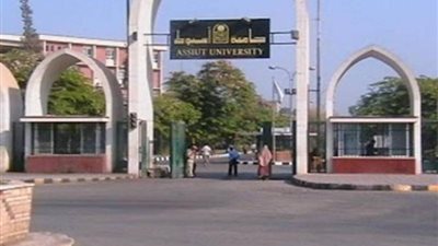 جامعة أسيوط تحقق تقدم كبير في التصنيف الإنجليزي ”THE IMPACT”