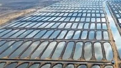 الأكبر فى الشرق الأوسط .. كل ماتريد معرفته عن مشروع الفيروز للاستزراع السمكي