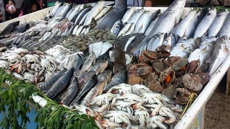 أسعار الأسماك اليوم