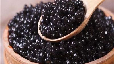 مقبلات الأغنياء.. تعرف على سعر الكاڤيار في مصر اليوم