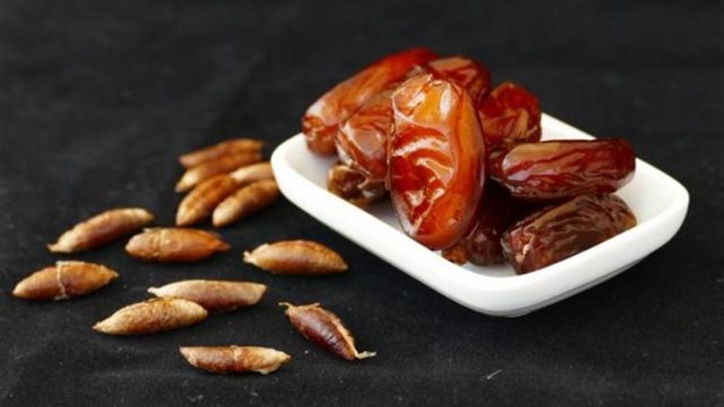 نواة التمر