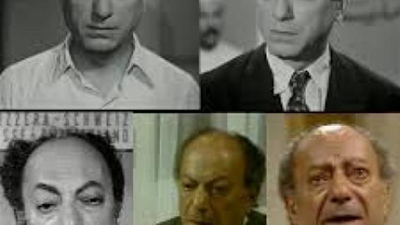 محمود السباغ
