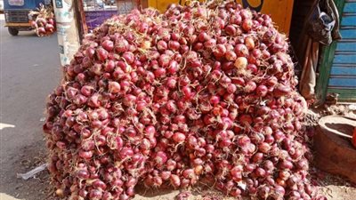سعر البصل اليوم الخميس 27 يونيو 2024 في سوق العبور والمحافظات