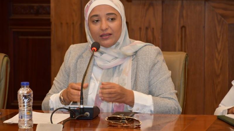 أميرة ابو شقة