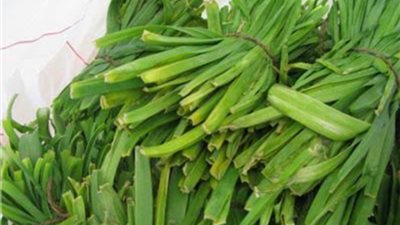 تناول الكرات.. الحل السحري لكثير من الأمراض