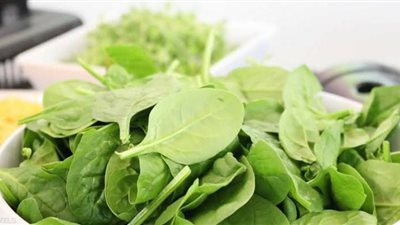 السلطات أبرزها.. أكلات صيفية تساعد في تبريد الجسم خلال الصيف