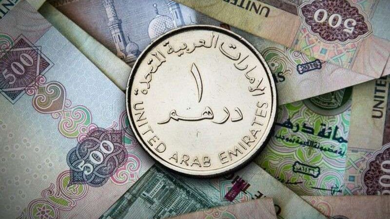 سعر الدهم الاماراتي