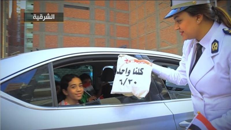 الشرطة المصرية