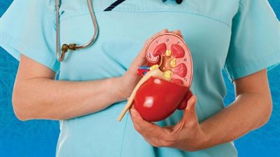 حافظي على وظائف الكلى بهذه الأطعمة