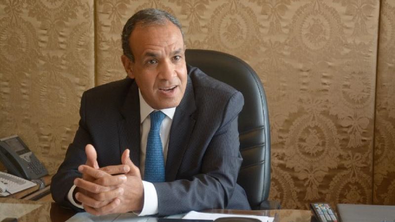 بدر عبد العاطى -وزير