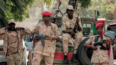 انتهاكات مروعة.. ماذا فعلت قوات الدعم السريع في مدينة الدندر بعد السيطرة عليها؟