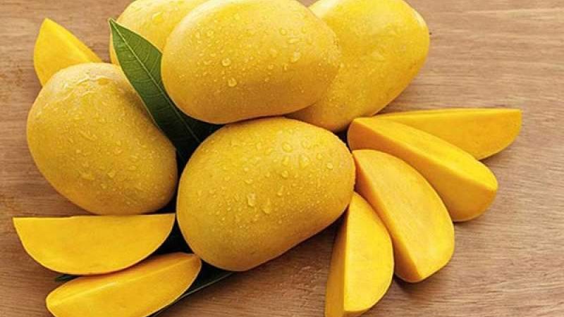 سعر المانجو اليوم