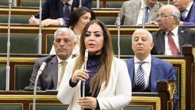 تعليم النواب: ليس من معايير اختيار وزير التربية والتعليم حصوله علي الدكتوراه .. والإخوان يحاولون استغلال الثغرة