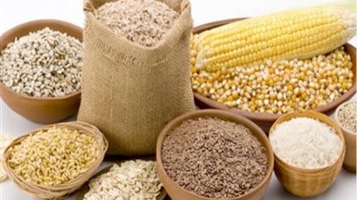 بكام النهاردة .. أسعار الأعلاف اليوم الأحد 7 يوليو 2024