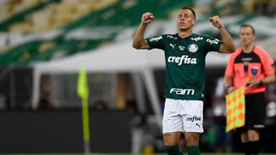 بالميراس بطلًا لكأس لبيرتادروس بهدف قاتل في شباك سانتوس