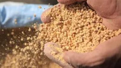 اسعار الاعلاف اليوم الإثنين 8 يوليو 2024