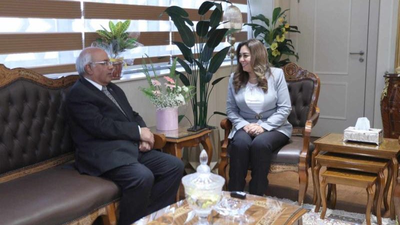 وزير التنمية المحلية