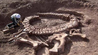 طفلة تكتشف عمره بالصدفة.. العثور على ديناصور يبلغ 220 مليون عام فما قصته؟