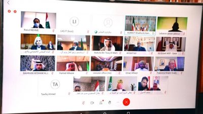 نيفين جامع : القيادة السياسية المصرية حريصة على دعم العمل العربى المشترك على الصعيدين الاقتصادى والاجتماعى