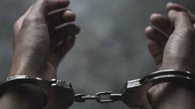 عنتيل الجيزة.. حيثيات حبس ”جزار أوسيم ” 3 سنوات