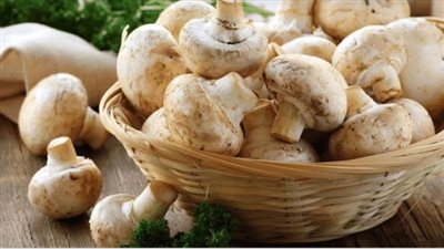فوائد مجهولة عند تناول المشروم يوميًا.. تعرفي عليها
