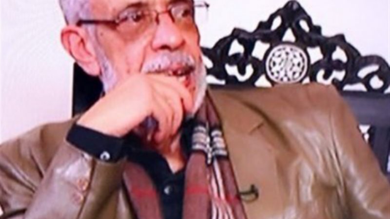 نبيل الحلفاوي