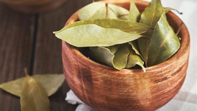 تعرفي على أبرز الفوائد الصحية الضرورية للجسم مع «ورق اللورا»