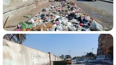 محافظ الجيزة: رفع ما يقرب من 350 ألف طن مخلفات وقمامة خلال شهر يناير