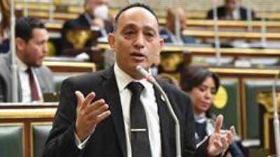 بالأرقام .. نائب برلماني يفضح جرائم الحكومة في حق الوطن والمواطن