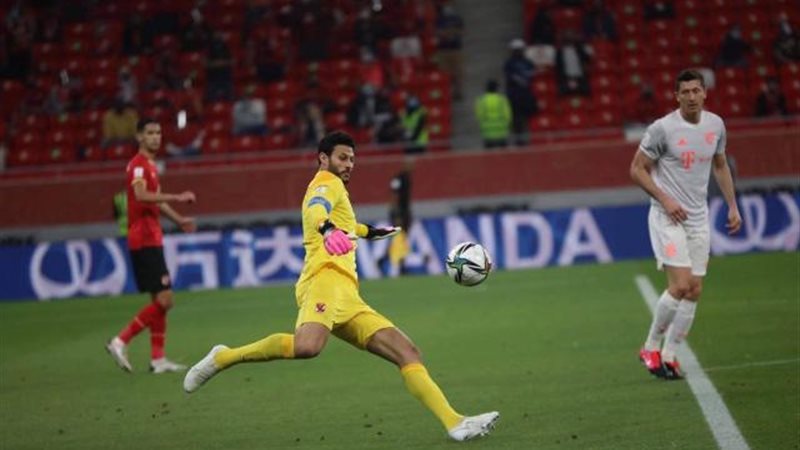 الشناوي