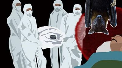 كارثة.. تقرير خطير عن تحور فيروس كورونا