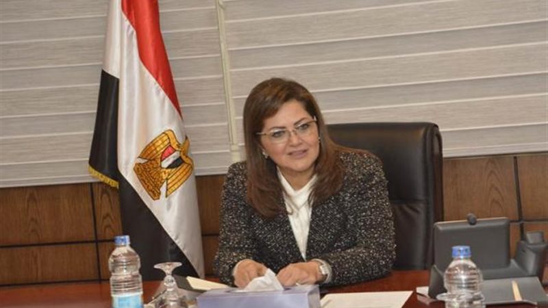 وزير التخطيط