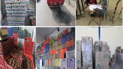 بالصور .. شرطة البيئة والمسطحات تضبط عدة قضايا كبرى خلال 24 ساعة