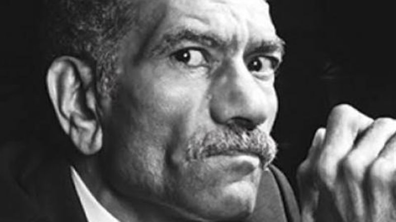 سيد رجب