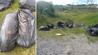 «مش هتصدق».. حكاية العامل الذى عثر على جثة مقطعة في 18 كيس